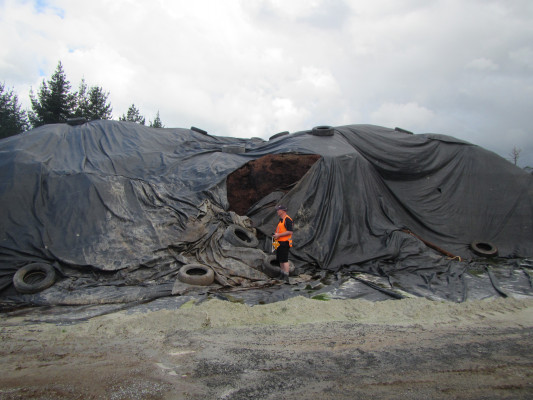 Chicken photo 1 The stockpile of chicken effluent.