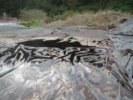 Chicken photo 2 The leachate flowing from the stockpile.