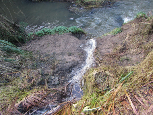Chicken photo 3 One of the flow paths of leachate into the watercourse.