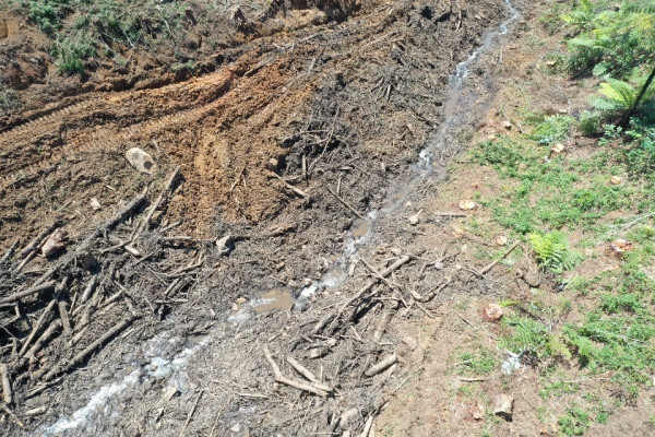 Upper section of tributary damaged by harvesting and tracking.