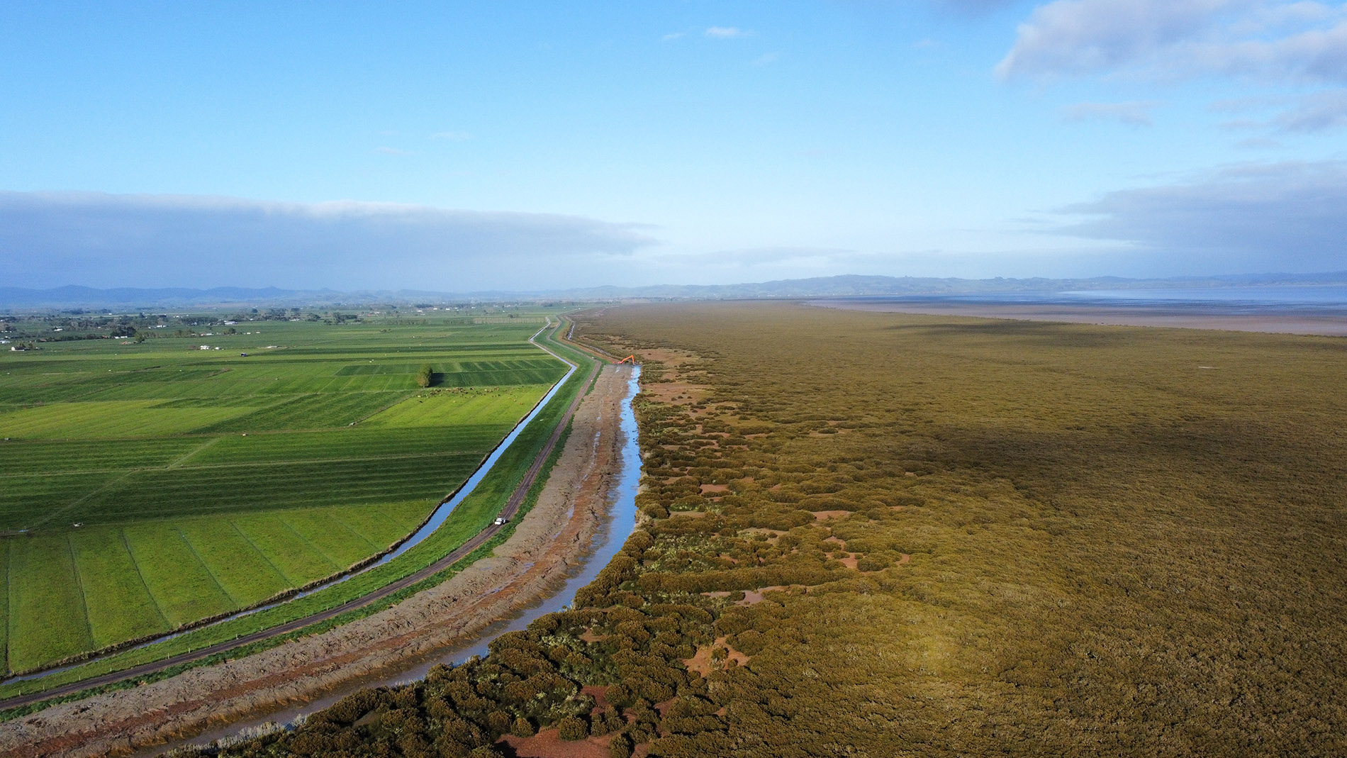  Image of foreshore stopbanks