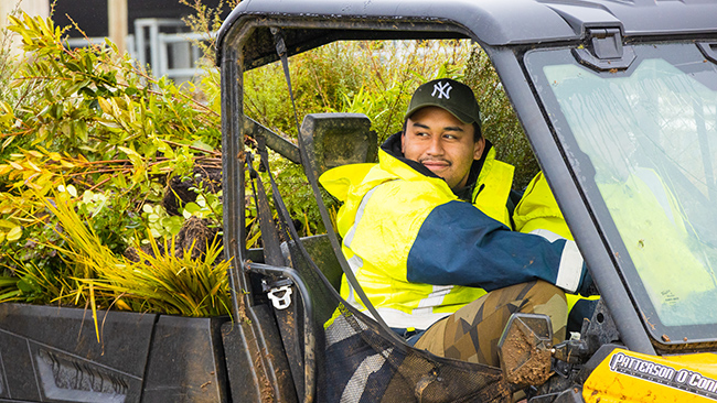 Pūnui River Care had a contract for 80,000 plants as part of Clean Streams 2020.