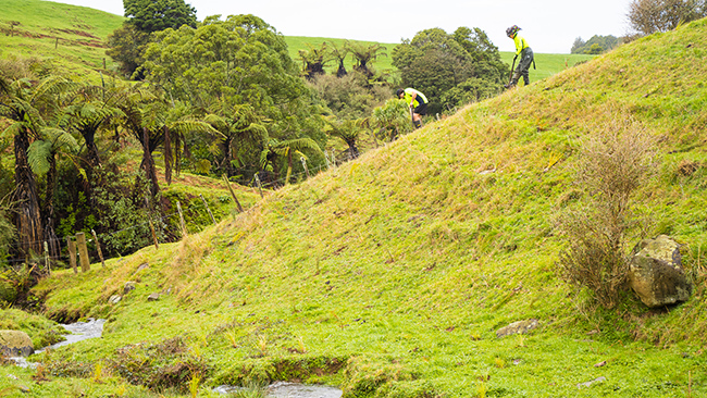 Pūnui River Care had a contract for 80,000 plants as part of Clean Streams 2020.