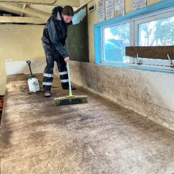 Cleaning and sterilising potting bench