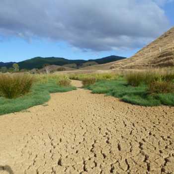 Droughts causing cracked ground