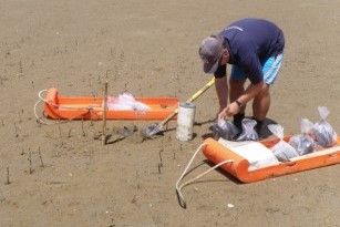 REMP sampling in Tairua