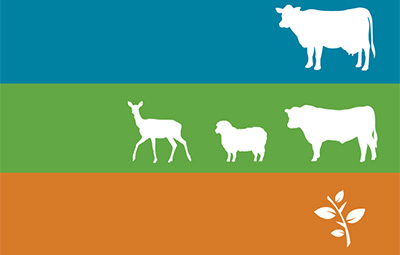 Farm Menus 