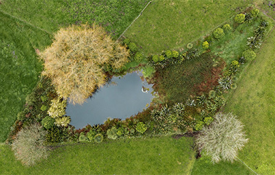 Nutrient management