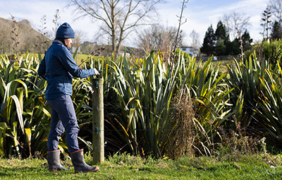 Planting, waterways and wetland management