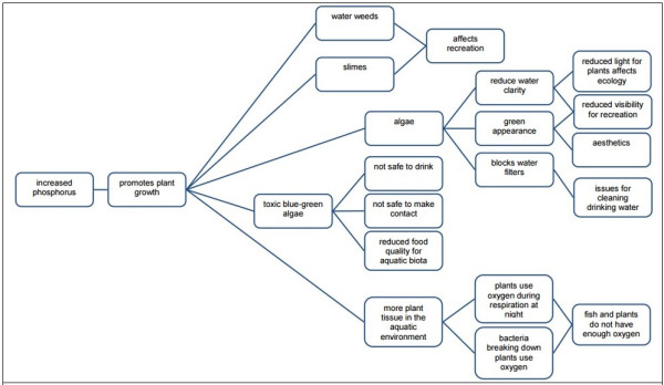 Figure 11. The effects of excess phosphorus on water quality and freshwater ecosystems