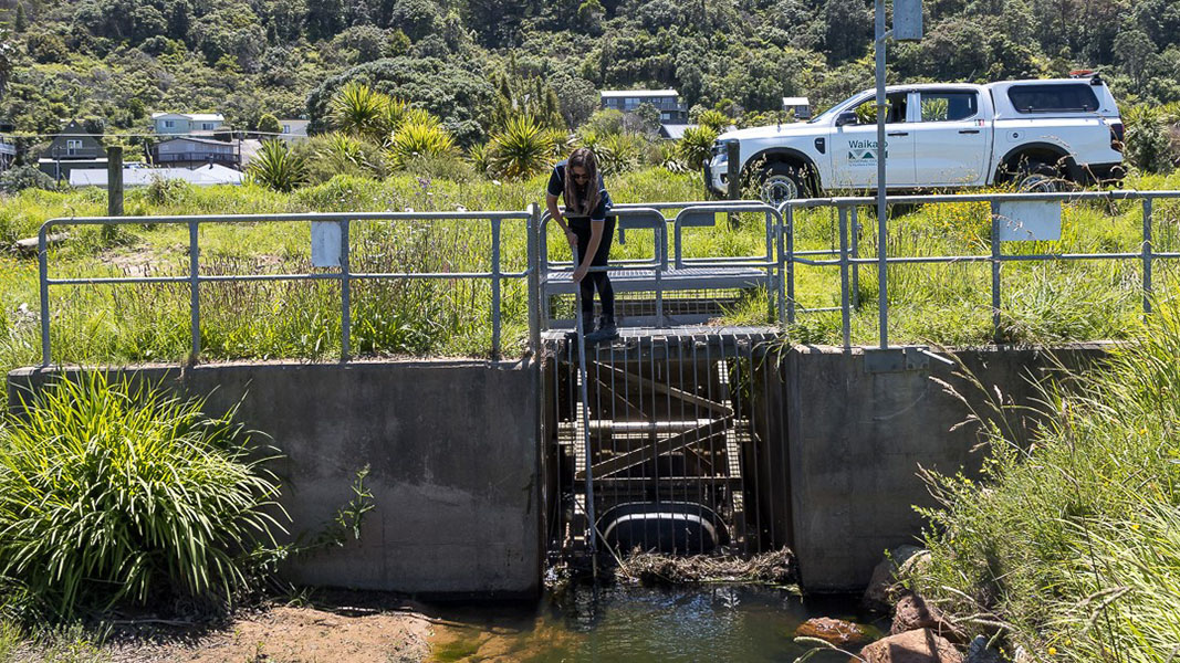 Image of Grahams Creek flood protection