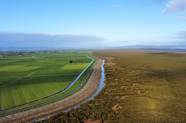 Image of  foreshore stopbanks Piako River