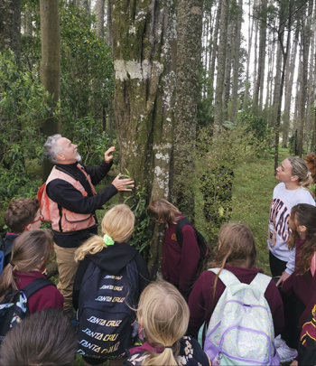 Image of a man showing a group of students a bat hotel in a tree
