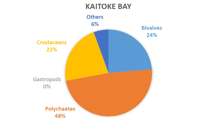 REMP monitoring results - data graph - Kaitoke Bay