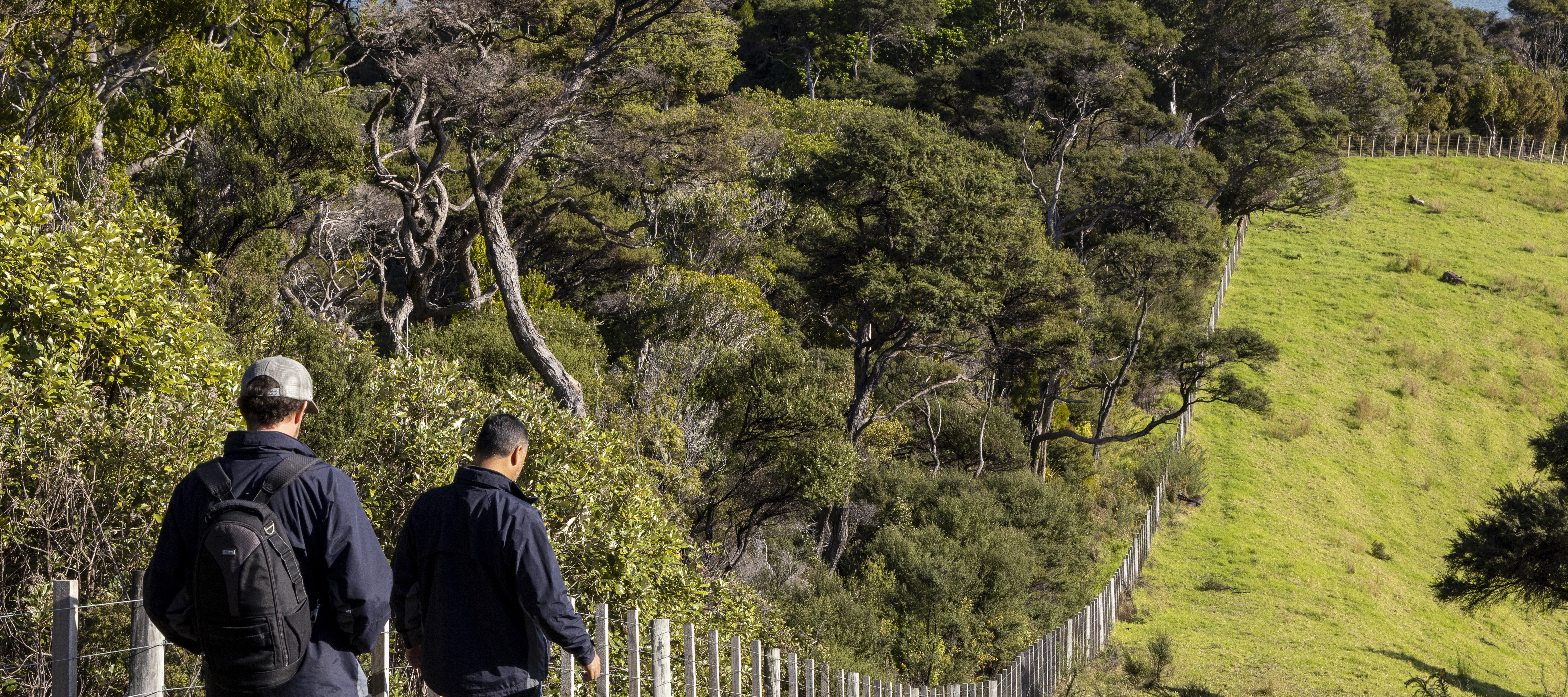 Image of team walking through long bay