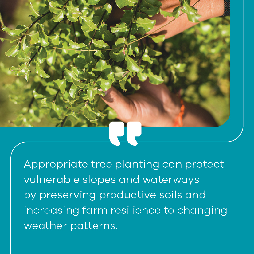 Image and quote about catchment management work