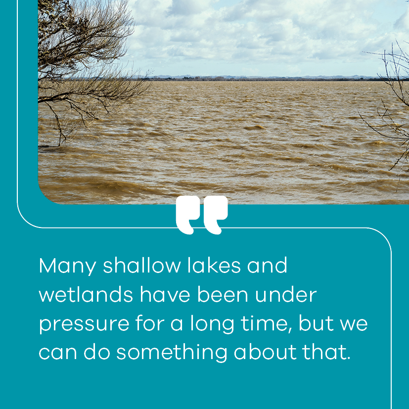 Image and quote about lakes and wetlands work