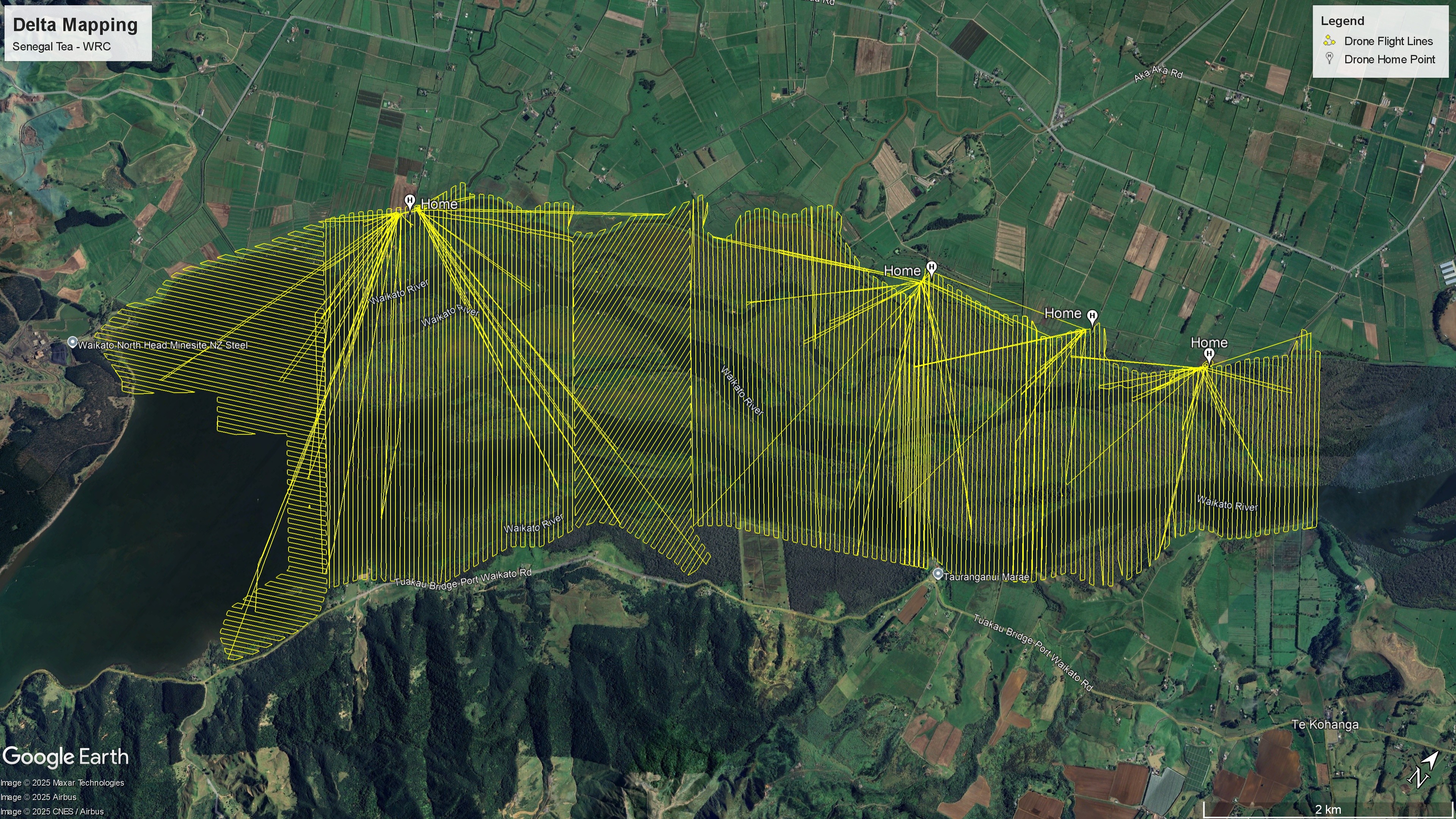 Drone mapping has revealed the extent of the infestation in the Waikato delta