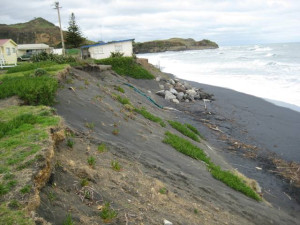 Image of Mokau coastal erosion