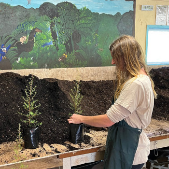 Staff wearing aprons while potting up Myrtle rust susceptible species Manuka