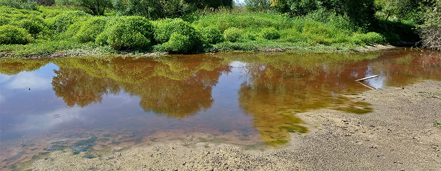 Image of a stream with stagnent water