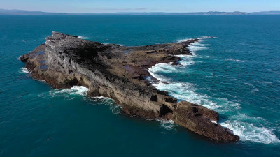 Image of Kārewa, a lone volcanic island located 20km offshore from Karioi. The island features prominently in Tainui pūrākau.