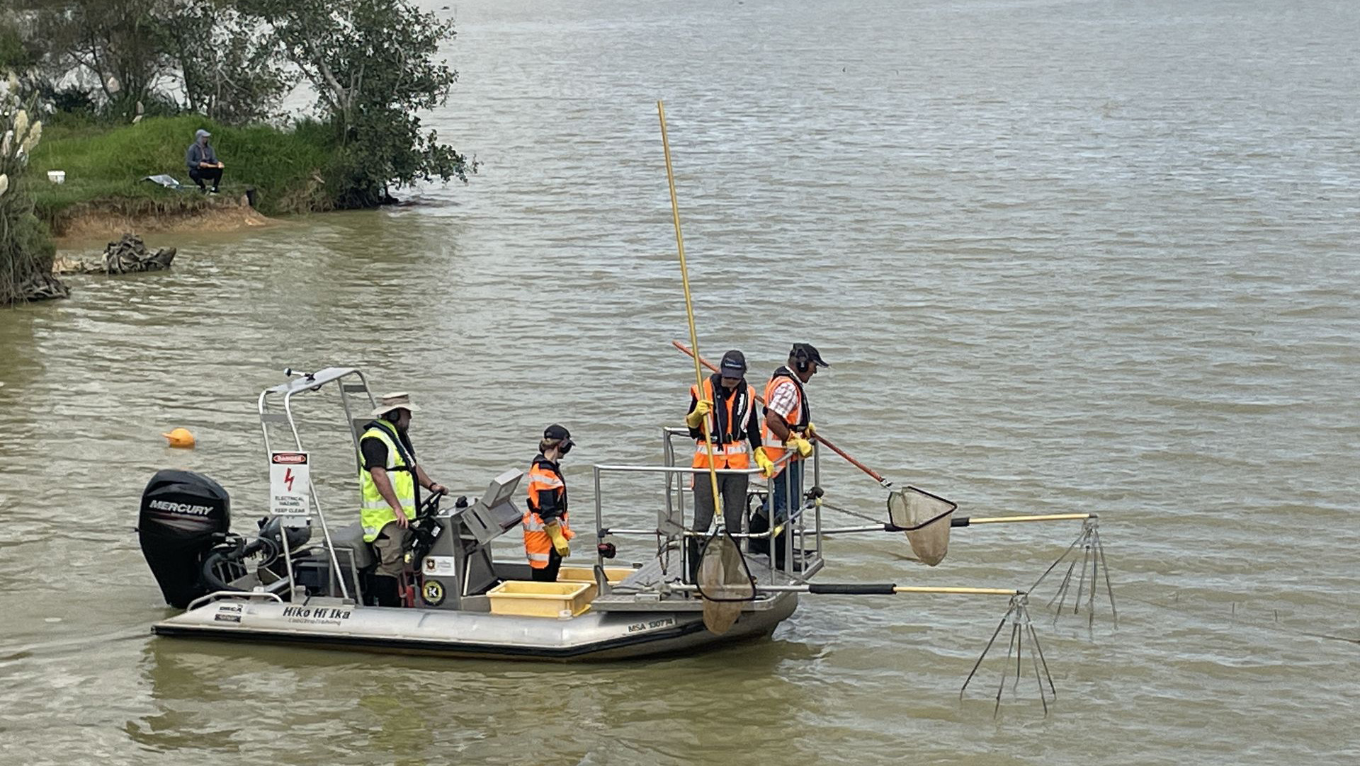 Photo of Lake Waikare electric fishing