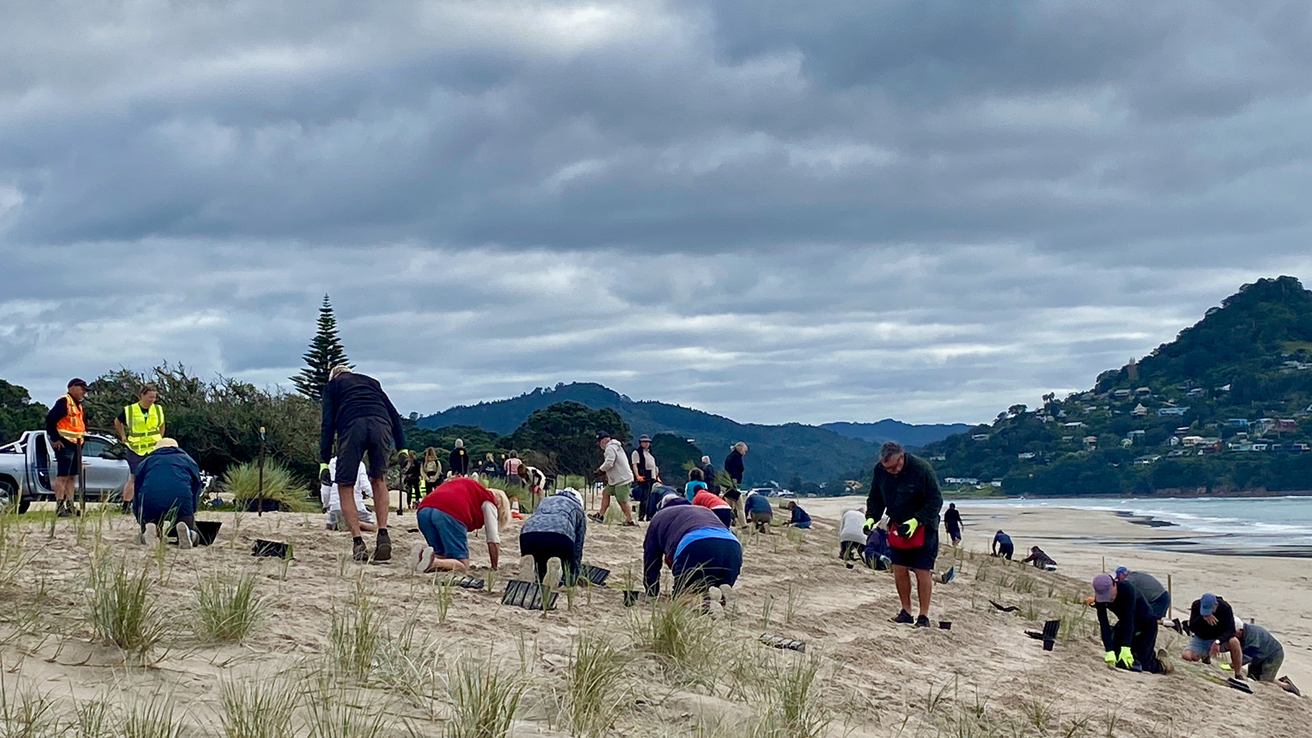 Planting at Pāuanui