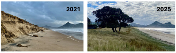 Story Hub image - Before and after