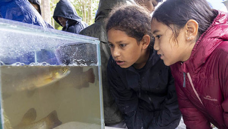 Image of two girls staring at a fish tank