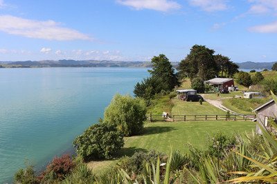 Onepū Charitable Trust was set up because pōhutukawa along the shoreline west of Maketū Marae had been lost to the sea, with erosion getting close to houses.