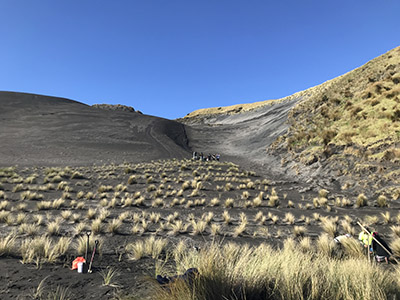 Image of marram grass planting at Ngārahae Bay -