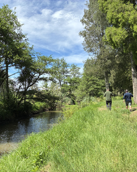 Image of a river in a wetland