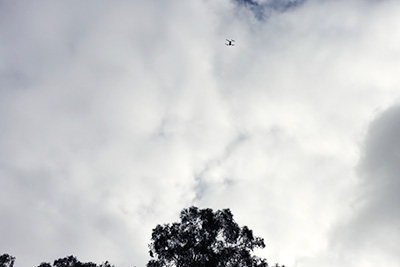 Drone in the sky searching for rooks