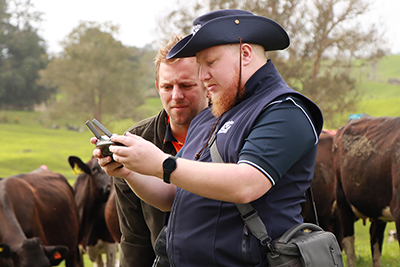 Imre and Timothy monitoring drone video of a rookery on farmland near Tirau