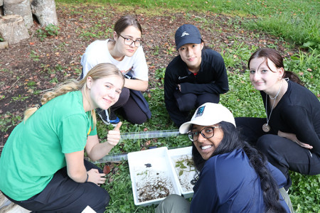 Learning about urban biodiversity and gully restoration.