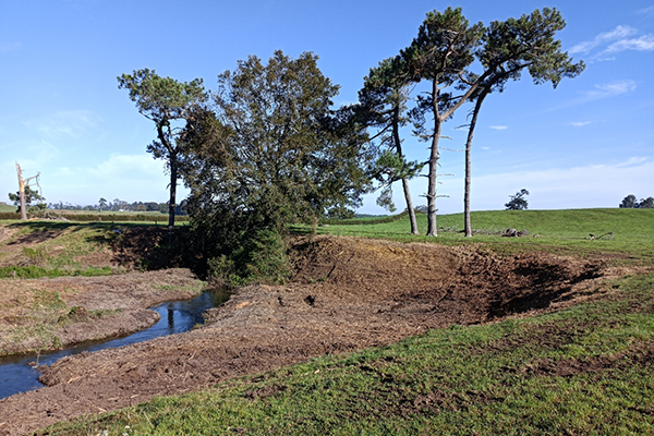 The same section of the Tukatāpere Stream after pest plant control and prepared for planting
