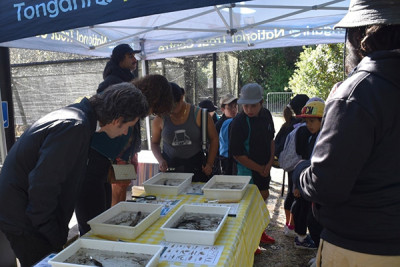 Students found out how to identify macroinvertebrates, which are great indicators of ecosystem health