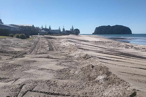 The dune at Whangamata with tyre and digger marks whilst getting reshaped