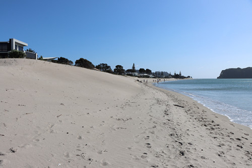 View looking across the newly shaped dune at Whangamata