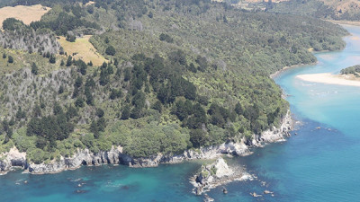 Image of shoreline showing