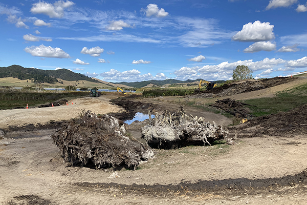 Earthworks to create the new bund; the tree debris will provide for fish habitat once the water level has returned.