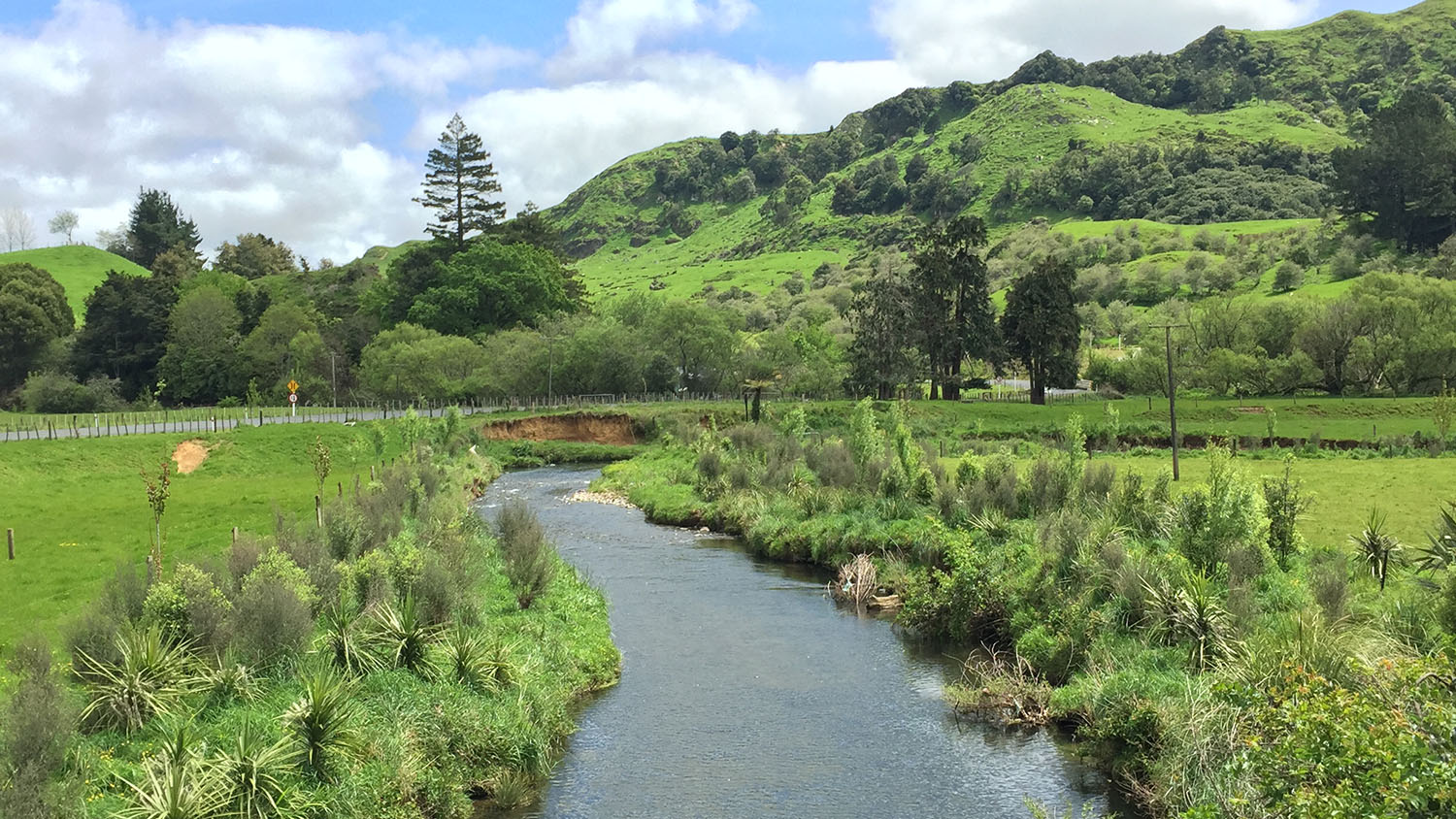 Freshwater Farm Plans | Waikato Regional Council