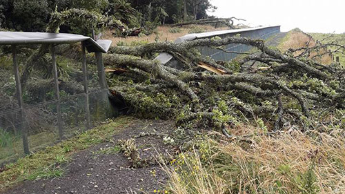 Staff have 90 minutes to respond to a fence breach.