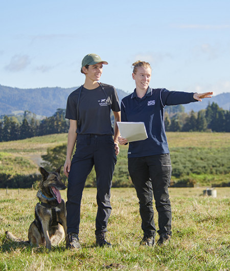 Story hub - alligator sniffing dog