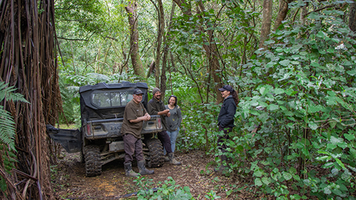 Bill, left, Karen, middle and farm workers Isaac and Michelle in among a forest fragment retired on the Garland property.