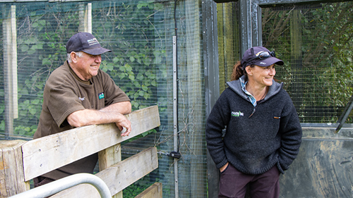 The Garland property has 8 kilometres of Maungatautari’s predator proof fence along its boundary.