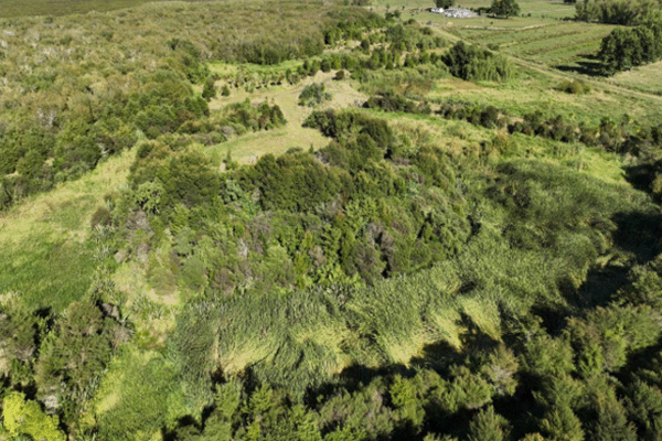 Image - Island Block 4