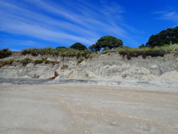 Image of Whiritoa beach north post cyclone