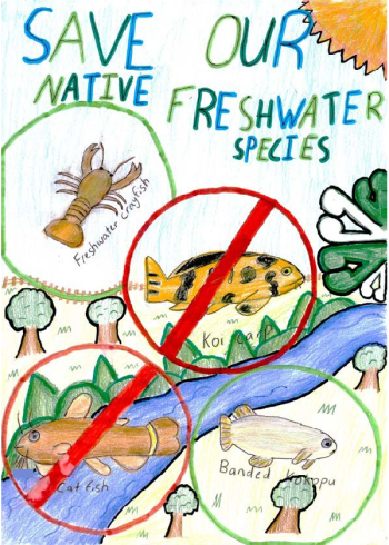 Kids poster advising to save our native freshwater species